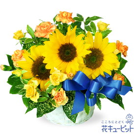 出産祝い 花 ギフト お祝い 記念日 ママ 赤ちゃん プレゼント花キューピットのひまわりのリボンアレンジメントye00-511038