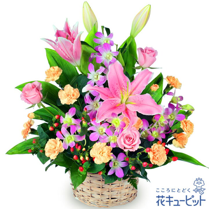 楽天市場 新築引っ越し祝い 花 ギフト 移転 記念 お祝い プレゼント花キューピットのピンクユリのアレンジメントyg00 インターネット花キューピット