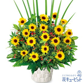 お祝い返し 花 ギフト お祝い 記念 感謝 お礼 プレゼント花キューピットのひまわりの華やかアレンジメントyu00-511384