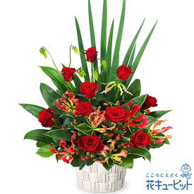 楽天市場 赤 フラワーアレンジメント 花 観葉植物 花 ガーデン Diyの通販
