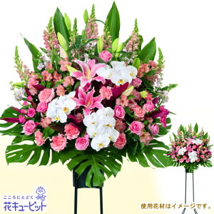 yX^hԁEԗցiJXjEJƏjjzԃL[sbg Vz z j LO vH u ܎ X^hԂj1iisNnjgs222yr-511688