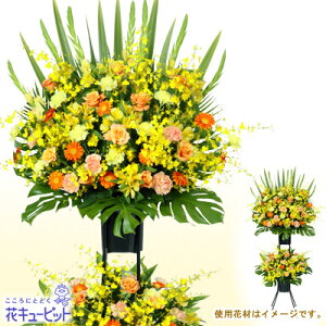 yX^hԁEԗցiJXjEJƏjjzԃL[sbg Vz z j LO vH u ܎ X^hԂj2iiCG[IWnjgs222yr-511691