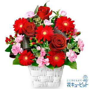 誕生日 お祝い 記念日 プレゼント 感謝 お礼 ギフト 11月の誕生花（ガーベラ）花キューピットの赤バラと赤ガーベラのスクエアバスケットya11-511904