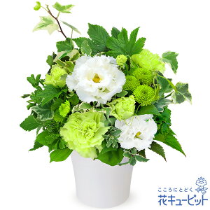 花キューピット【お盆】お供えのアレンジメントmk00-511953 新盆 初盆 供花 お悔やみ お供え