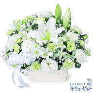 【お供え・お悔やみの花】花キューピット 仏花 供花 法要 法事 仏事 弔事 枕花 お盆 お彼岸 初盆新盆 四…