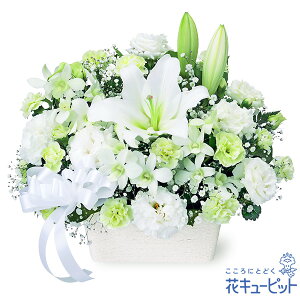 【お供え・お悔やみの花】花キューピット 仏花 供花 法要 法事 仏事 弔事 枕花 お盆 お彼岸 初盆新盆 四十九日 一周忌 お供えのアレンジメントyr00-511979