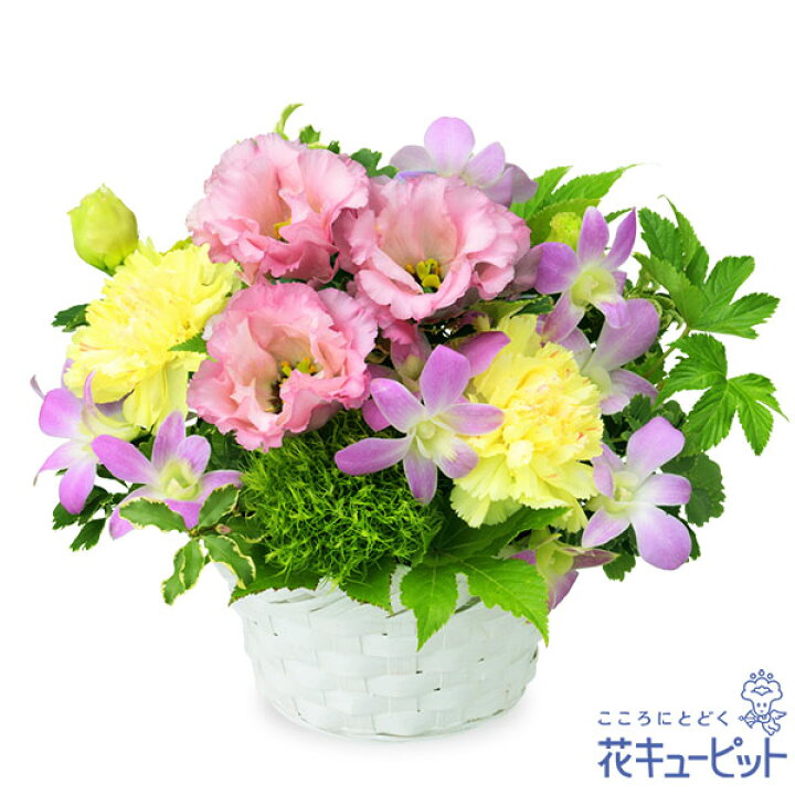楽天市場 新築引っ越し祝い 花 ギフト 移転 記念 お祝い プレゼント花キューピットのデンファレの爽やかなバスケットyg00 5119 インターネット花キューピット
