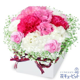 ペット用フラワーギフト・お祝い 花 お祝い 記念日 誕生日 迎え入れ日 プレゼント 花キューピットのトルコキキョウのロマンチックキューブnf01-511998