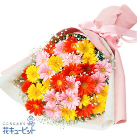 楽天市場 カラフル 種類 植物 ガーベラ 花束 切花 花 観葉植物 花 ガーデン Diyの通販
