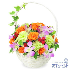 出産祝い 花 ギフト お祝い 記念日 ママ 赤ちゃん プレゼント花キューピットのデンファレのナチュラルバスケットye00-512107