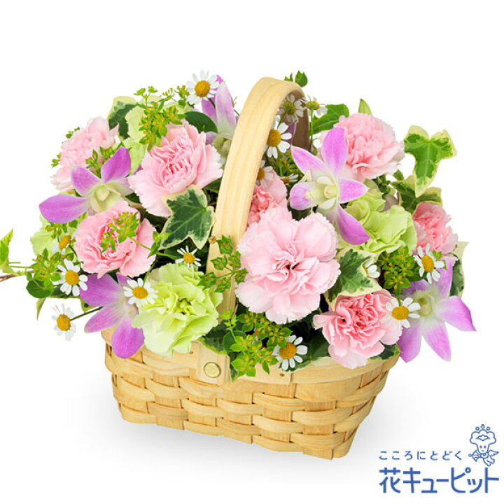 楽天市場 ペット用フラワーギフト お供え 花 仏花 供花 法要 枕花花キューピットのお供えのアレンジメントng01 インターネット 花キューピット