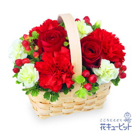 ペット用フラワーギフト・お祝い 花 お祝い 記念日 誕生日 迎え入れ日 プレゼント 花キューピットの赤色のウッドバスケットnf01-512138