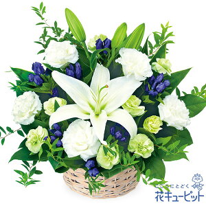 yĤފ݁zԃL[sbg   @v @    ފ l\  ̃AWgnd00-512228