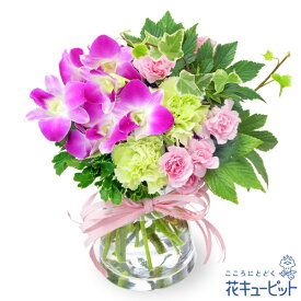 楽天市場 デンファレ 花束の通販