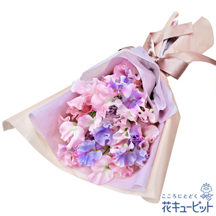 楽天市場 1月の誕生花 スイートピー お祝い 記念日 お礼 両親 父母 友達 友人 プレゼント フラワーギフト 花キューピットのスイートピーの花束ya01 インターネット花キューピット