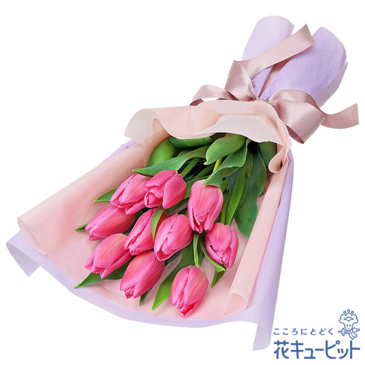 楽天市場 2月の誕生花 チューリップ 誕生日 お祝い 記念日 プレゼント 家族 友人 彼氏彼女 夫妻 祖父祖母 花キューピットのチューリップの花束ya02 インターネット花キューピット