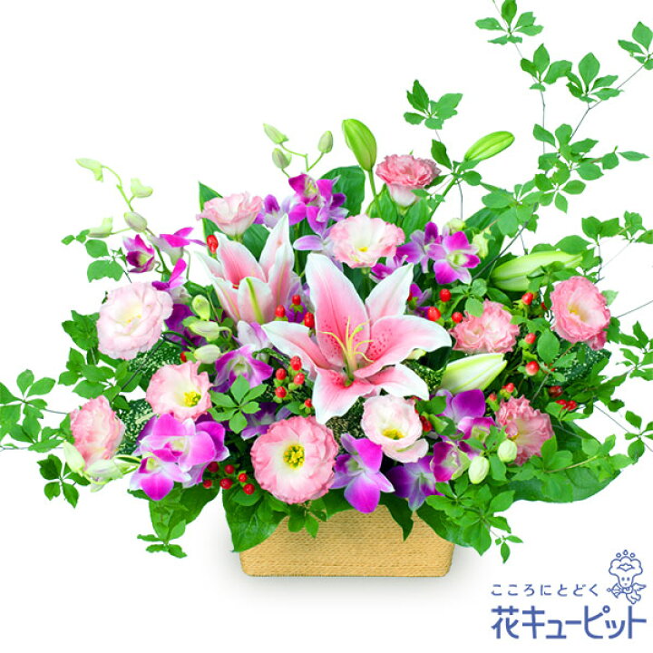 楽天市場 お祝い 誕生日 就職退職 歓送迎 結婚 還暦 開店開業 卒業入学 記念日 プレゼント 花キューピットのピンクユリとデンファレのアレンジメントyc00 インターネット花キューピット