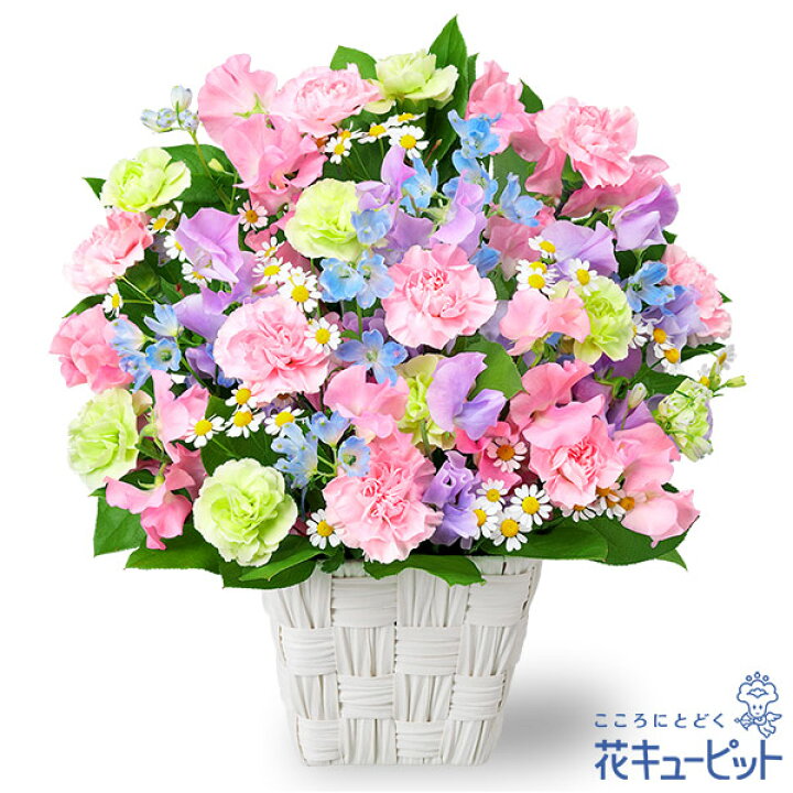 楽天市場 1月の誕生花 スイートピー お祝い 記念日 お礼 両親 父母 友達 友人 プレゼント フラワーギフト 花キューピットのカラフルなスイートピーのアレンジメントya01 インターネット花キューピット