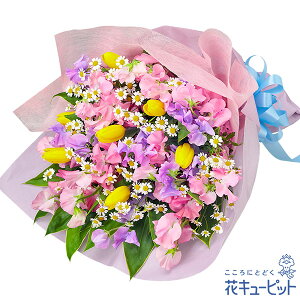 春のお誕生日 お祝い 入学 卒業 就職 退職 記念日 花キューピットのカラフルなスイートピーの花束mx00-512399