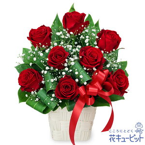 愛妻の日 パートナー お祝い 結婚 記念日 感謝 お礼 プレゼント ギフト 花キューピットの赤バラのリボンアレンジメントpw00-512404