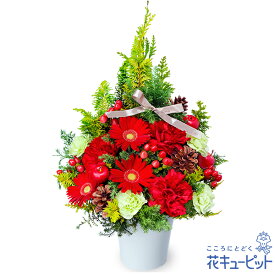 【クリスマスフラワー】花キューピット プレゼント ギフト お祝い 誕生日 感謝 記念日 Xmas クリスマスのツリー風アレンジメントmm00-512439