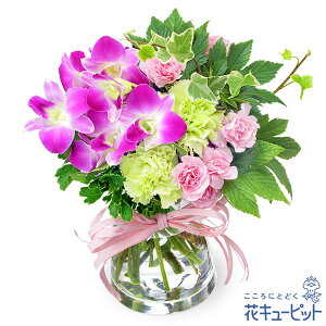 yjzԃL[sbg hV̓ a }  җ JXJ Ɠw LO v[g ft@̃OXu[Piԕrtjyc00-512482