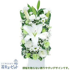 yẺ݂ԁzԃL[sbg   @v @    ~ ފ ~V~ l\  ̃AWgyr00-512492