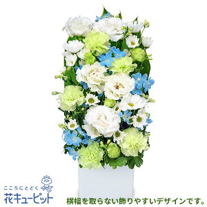 yẺ݂ԁzԃL[sbg   @v @    ~ ފ ~V~ l\  ̃AWgyr00-512493