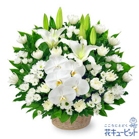 お供え・お悔やみの献花 仏花 供花 法要 法事 仏事 弔事 枕花 お盆 お彼岸 初盆新盆 四十九日 一周忌 お供えのアレンジメントyr00-512509