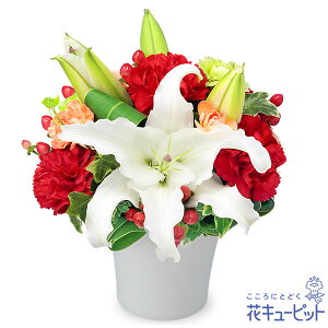 yNX}Xt[zԃL[sbg v[g Mtg j a  LO Xmas ̃GKgAWgmm00-512513