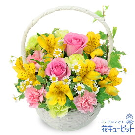 【4月の誕生花（アルストロメリア）】花キューピット お祝い 記念日 お礼 誕生日 プレゼント アルストロメリアのナチュラルバスケットya04-512521
