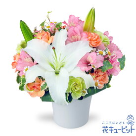【4月の誕生花（アルストロメリア）】花キューピット お祝い 記念日 お礼 誕生日 プレゼント ユリとアルストロメリアのエレガントアレンジメントya04-512523