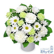 【お供え・お悔やみの花】花キューピット 仏花 供花 法要 法事 仏事 弔事 枕花 お盆 お彼岸 初盆新盆 四…