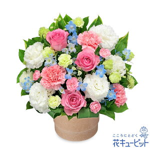 yNX}Xt[zԃL[sbg v[g Mtg j a  LO Xmas sNõ|bgAWgmm00-512607