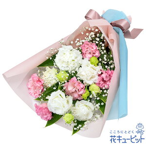 yLOzԃL[sbg  Mtg j v[g vw c N ԍ ⍥ gRLLȆu₩ȉԑyb00-512610