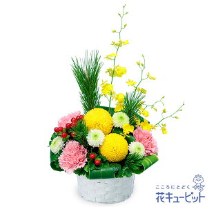 yzԃL[sbg  2026N  VN ꐳ N A N  N }t ̃AWgpp00-512625