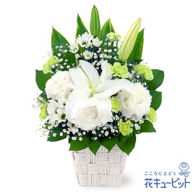 【お供え・お悔やみの花】花キューピット 仏花 供花 法要 法事 仏事 弔事 枕花 お盆 お彼岸 初盆新盆 四十九日 一周忌 お供えのアレンジメントyr00-512680