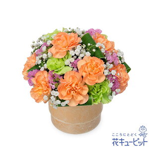 yybgpt[MtgEzԃL[sbg    @v ԃybĝ̃AWgng01-512705