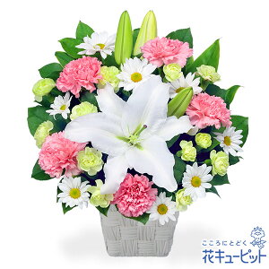 【喪中見舞い・冬のお供え】花キューピット お悔やみ お供え 喪中見舞い 仏花 供花 法事 法要 お供えのアレンジメントnq00-512729