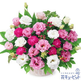 出産祝い 花 ギフト お祝い 記念日 ママ 赤ちゃん プレゼント花キューピットの2色トルコキキョウのアレンジメントye00-512739