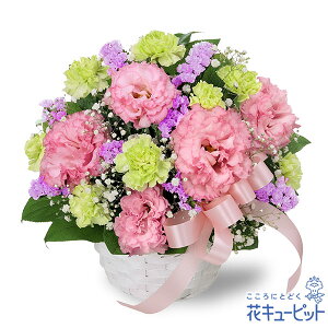 yzԃL[sbg މ@j Cj 邢 O  Mtg v[ggRLLẼ{AWgyk00-512753