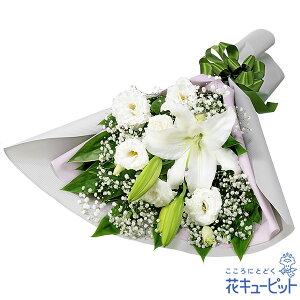 yĚ݂ԁzԃL[sbg   @v @    ~ ފ ~V~ l\  ̉ԑyr00-512757