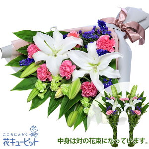 yĚ݂ԁzԃL[sbg   @v @    ~ ފ ~V~ l\  ̉ԑiOpE΁jyr00-512758