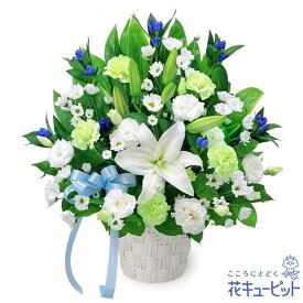 お供え・お悔やみの献花 仏花 供花 法要 法事 仏事 弔事 枕花 お盆 お彼岸 初盆新盆 四十九日 一周忌 お供えのアレンジメントyr00-512759