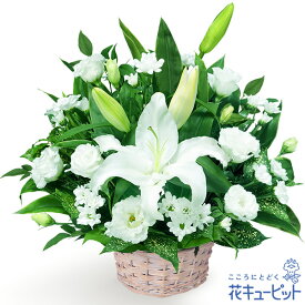 【お供え・お悔やみの花】花キューピット 仏花 供花 法要 法事 仏事 弔事 枕花 お盆 お彼岸 初盆新盆 四十九日 一周忌 お供えのアレンジメントyr00-512779