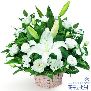 yrE~̂zԃL[sbg   r   @ @v ̃AWgnq00-512779