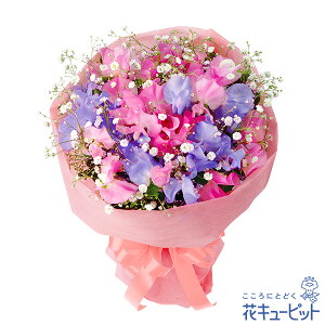 y1̒aԁiXC[gs[jzԃL[sbg j LO  e  FB Fl v[g t[Mtg XC[gs[̉ԑya01-523014