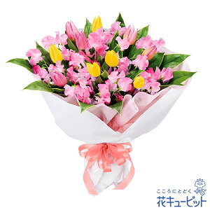 �y�`���[���b�v���W�z�ԃL���[�s�b�g ���a���� �L�O�� �����} ���j�� �F�B �ގ��ޏ� ���e �v�� �c���c�� 2�F�`���[���b�v�ƃX�C�[�g�s�[�̉ԑ�nm00-523016