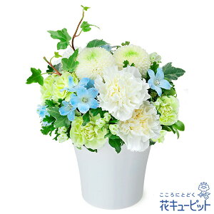 yẺ݂ԁzԃL[sbg   @v @    ~ ފ ~V~ l\  ̃AWgyr00-523036