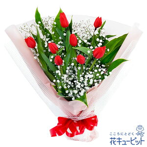 y`[bvWzԃL[sbg a LO } j FB ގޏ e v cc ԃ`[bv̉ԑnm00-523040